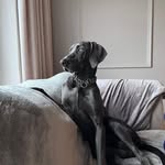 Sharon McGarry - @mcgarry4770 - Instagram