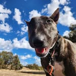Sharon McGowan - @mcgowan2798 - Instagram