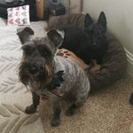 Sharon McKendrick - @sharon.mckendrick.9 - Instagram