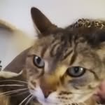 Sharon McLane - @smclane29 - Instagram