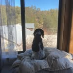 Sharon McPeters - @welovenonnie2 - Instagram
