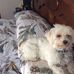 Sharon McQuiston - Facebook