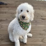 Sharon Mcvey Buchanan - @sharon.buchanan.940 - Instagram
