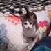 Sharon McWilliams - Facebook