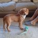 Sharon McWilliams - Facebook