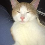 Sharon Meaney - @sharon_meaney - Instagram