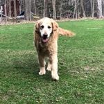 Sharon Mears - @mearss03 - Instagram