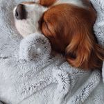 Sharon Mears - @s.mears - Instagram