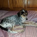 Sharon Mease - @sharon.mease.5 - Instagram