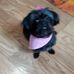 Sharon Melling - Facebook