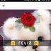 Sharon Medrano - Facebook