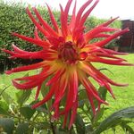 sharon meehan - @meehanrsharon - Instagram