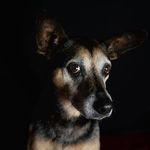 Sharon Meehan - @sharon.meehan.7 - Instagram