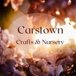 Sharon Meehan - @carstowncrafts - Instagram