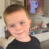 sharonmeehanhession - @sharonmeehanhession - TikTok