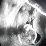 Sharon Melvin DuPreez - @dupreezsharon - Instagram