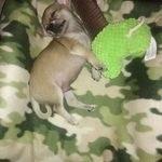 Sharon Messick - @sharon.messick.399 - Instagram