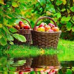 Sharon Neilan Messinger - @sharonmessinger13 - Instagram