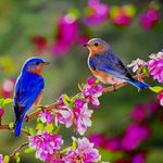 Sharon DeBaun Metz - @sharon.metz1 - Instagram