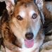 Sharon Metz - Facebook