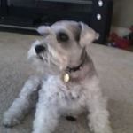 Sharon Metz - @sharon.metz.509 - Instagram