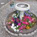 Sharon Meyer - Facebook