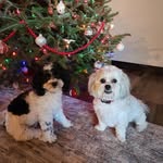 Sharon Meyer - @61brockgmail.com_ - Instagram