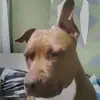 SharonMeyer - @chriskjzvw4 - TikTok