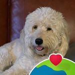 Sharon Michaelson - @sharon.michaelson.1 - Instagram