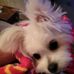 Sharon Michaelson - Facebook