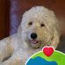 Sharon Michaelson - Facebook