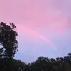 sharonmichaud25 - @sharonmichaud25 - TikTok