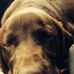 Sharon Midkiff - Facebook