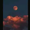 sharonmiley - @sharonmiley07 - TikTok