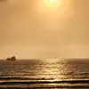 Sharon Milne - @sharon.milne4 - TikTok