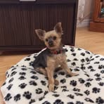 Sharon Milne - Facebook