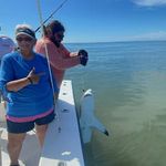 Sharon Elder York-Minton - @yorkminton - Instagram