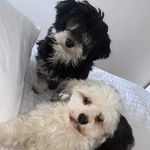 Sharon Minton - @sharon.minton.796 - Instagram