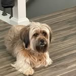 Sharon Mize - @mizes1610 - Instagram