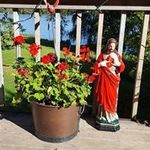 Sharon Moen - @moen.sharon - Instagram