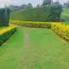 sharon moh - @helfine.omwenga - TikTok