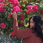 The Mysterious Rose 🥀 - @sharonmohanty - Instagram