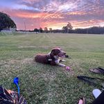 Sharon Moir - @shangralah1975 - Instagram