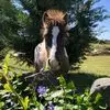 Sharon Monaco - @sharon.monaco2 - TikTok