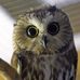 Sharon Mooney - Facebook