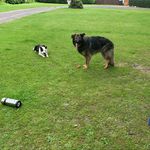 Sharon Mooney - @mooney8322shaz - Instagram