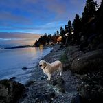 Sharon Morehouse - @sharon.povertybay - Instagram
