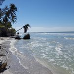 Sharon Morehouse - @sharonpovertybay - Instagram