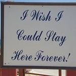 Sharon Morehouse - @sharonmorehouse - Instagram