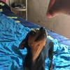 Sharon Moritz - @sharon.moritz - TikTok